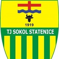 Logo TJ Sokol Statenice